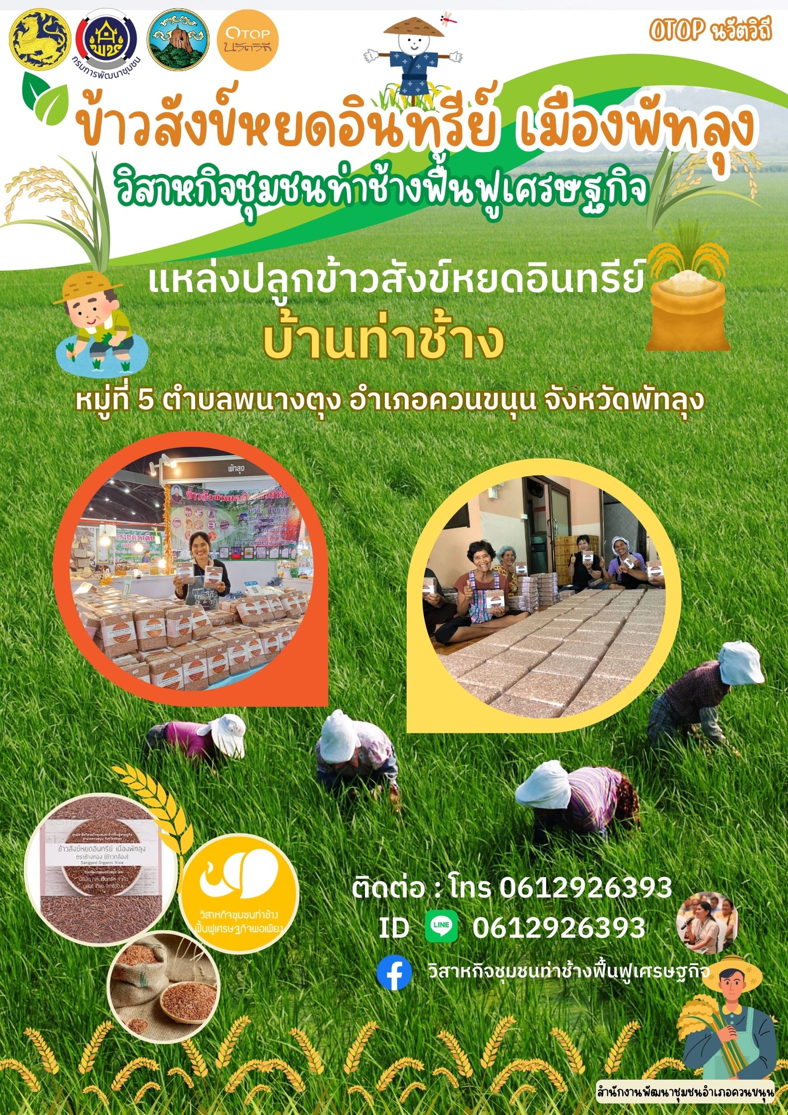 อร่อยดีต่อใจ ได้ประโยชน์เต็มเมล็ด กับ "ข้าวสังข์หยดอินทรีย์" จากพัทลุง 🌾✨