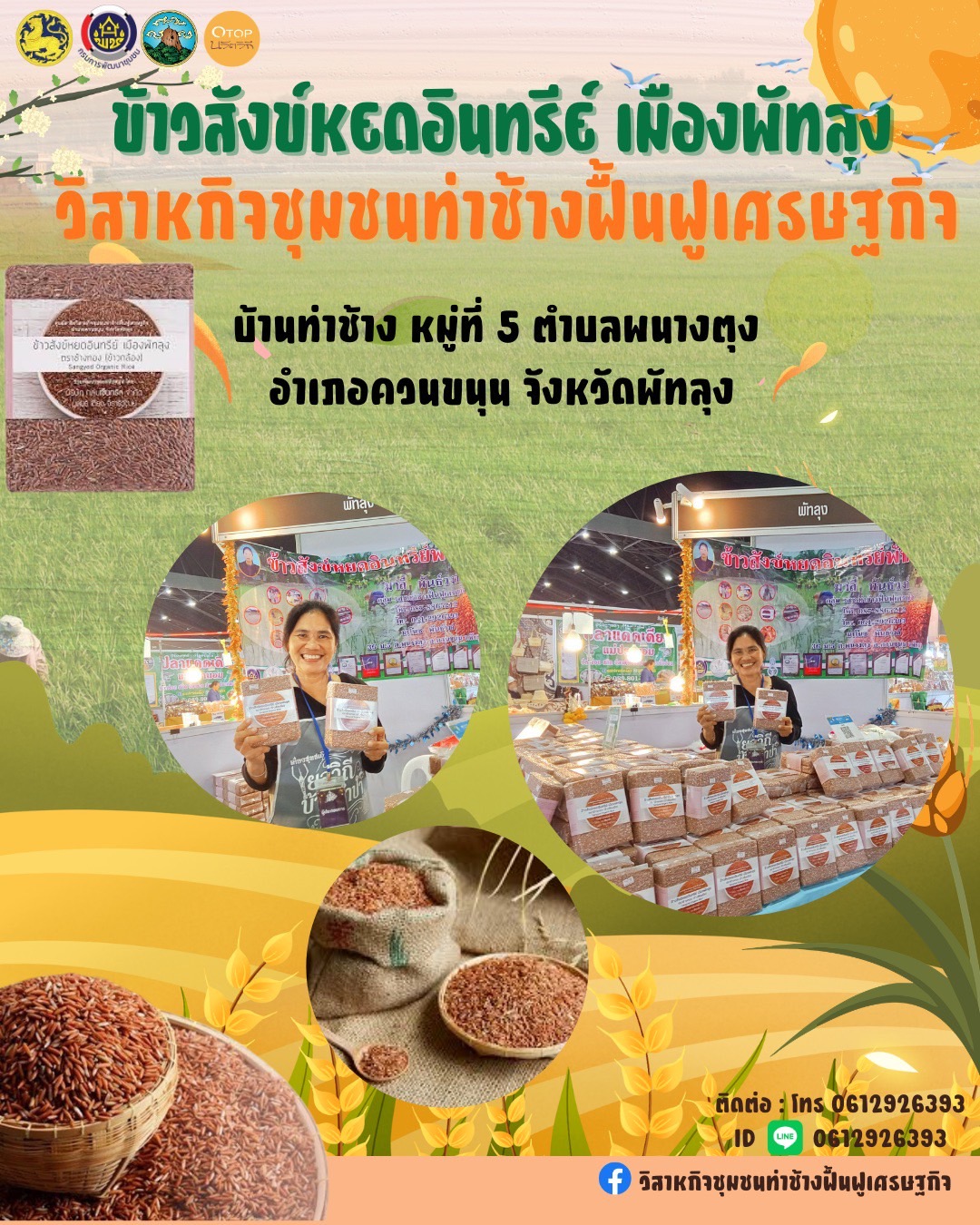 🎉OTOP นวัตวิถี อำเภอควนขนุน 🌾 ข้าวสังข์หยด วิสาหกิจชุมชนท่าช้างฟื้นฟูเศรษฐกิจ